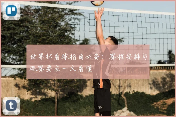 世界杯看球指南必备:赛程安排与观赛要点一文看懂