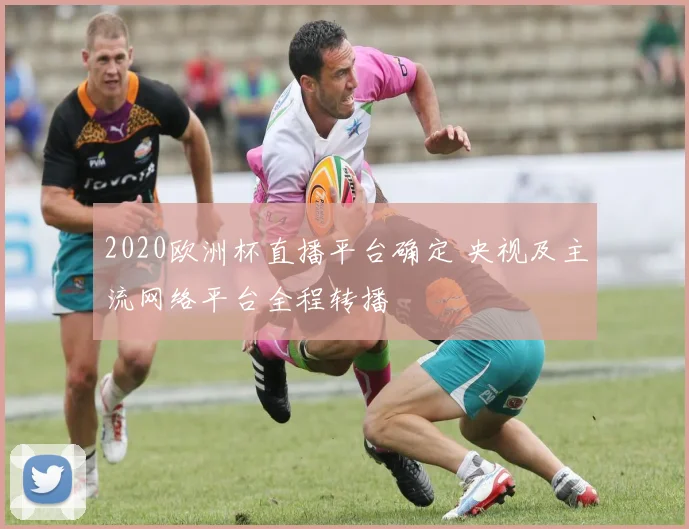 2020欧洲杯直播平台确定 央视及主流网络平台全程转播