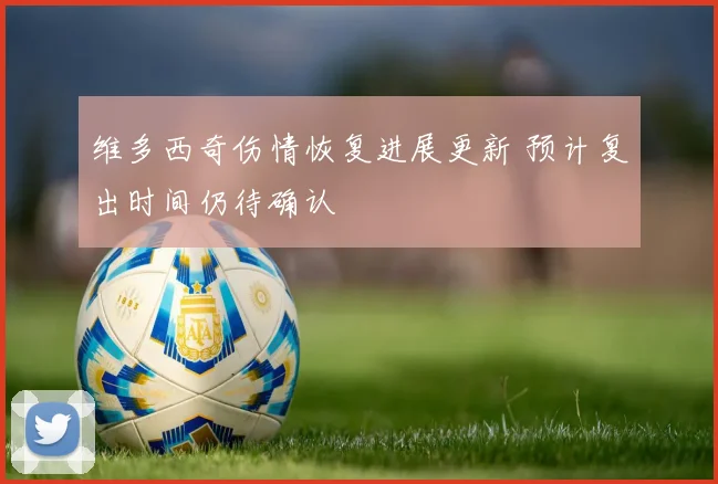 维多西奇伤情恢复进展更新 预计复出时间仍待确认