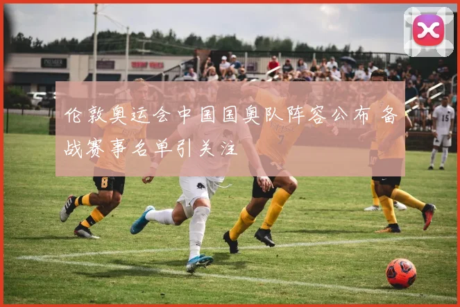 伦敦奥运会中国国奥队阵容公布 备战赛事名单引关注