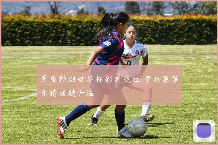 章鱼预测世界杯彩票走红 带动赛事竞猜话题升温